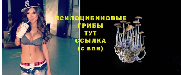 соль ск Осинники