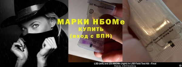 ПСИЛОЦИБИНОВЫЕ ГРИБЫ Осташков