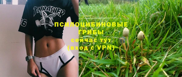 соль ск Осинники