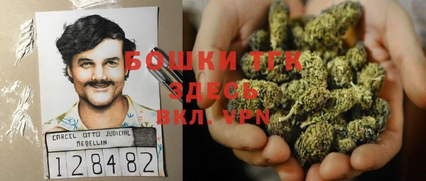 соль ск Осинники