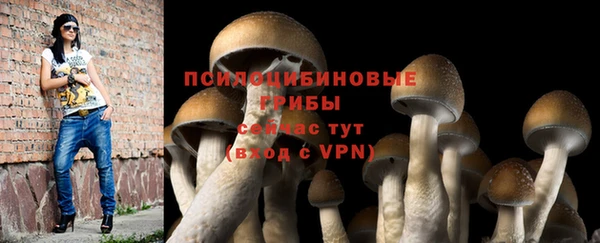ПСИЛОЦИБИНОВЫЕ ГРИБЫ Осташков