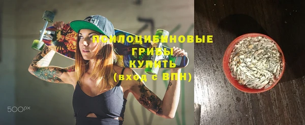 соль ск Осинники